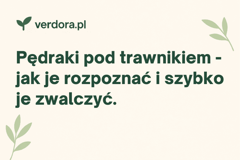 Pędraki pod trawnikiem – jak je rozpoznać i szybko je zwalczyć