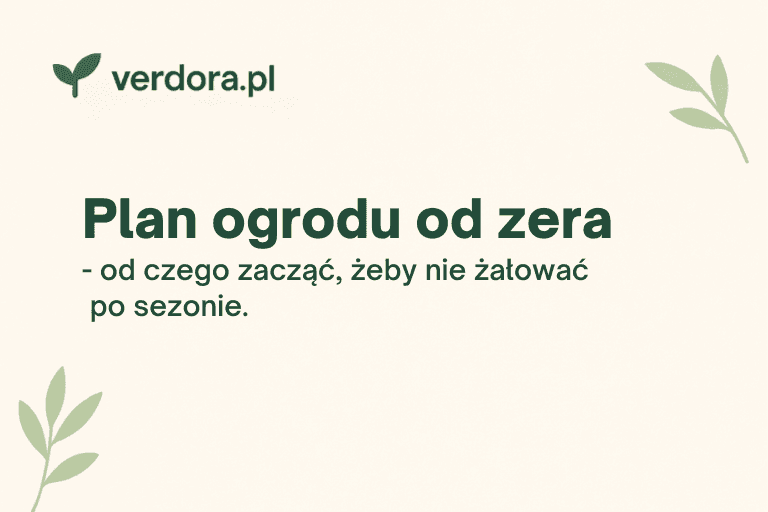 Plan ogrodu od zera – od czego zacząć, żeby nie żałować po sezonie