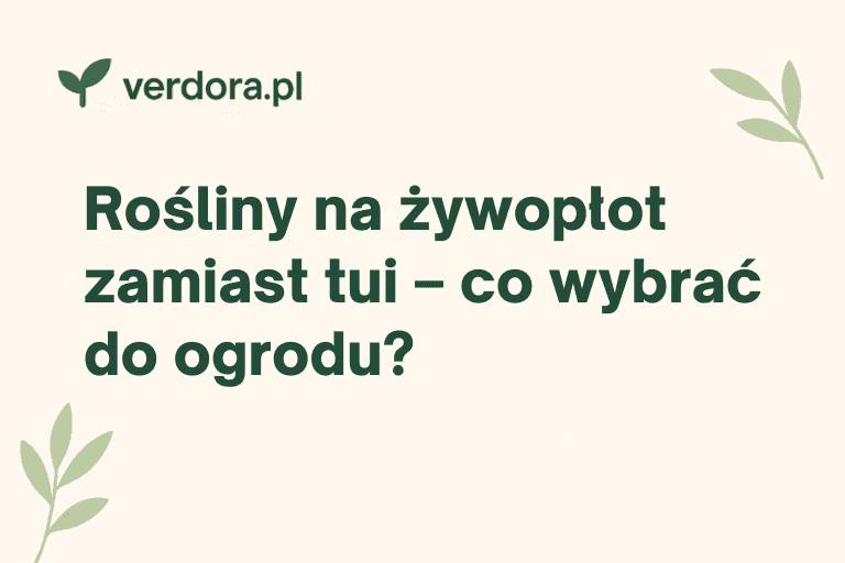 Rośliny na żywopłot zamiast tui – co wybrać do ogrodu?