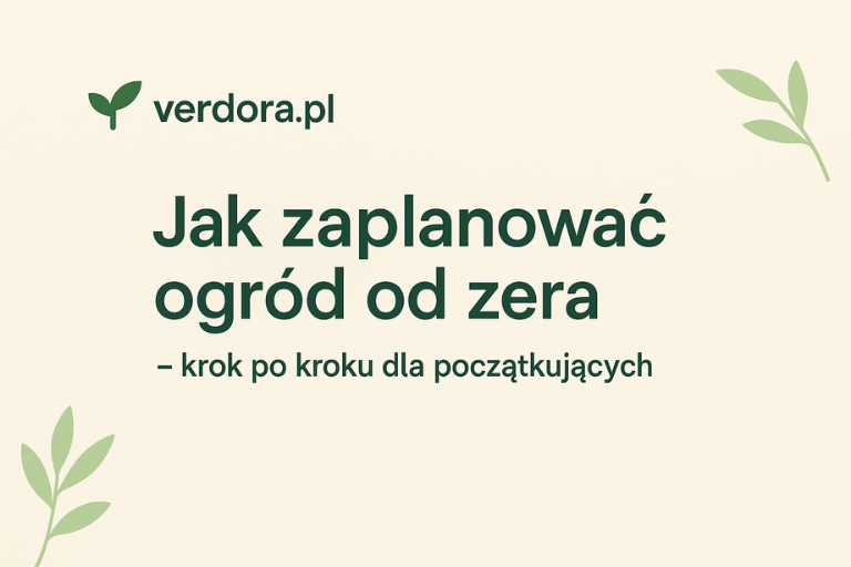 Plan ogrodu od zera – od czego zacząć, żeby nie żałować po sezonie