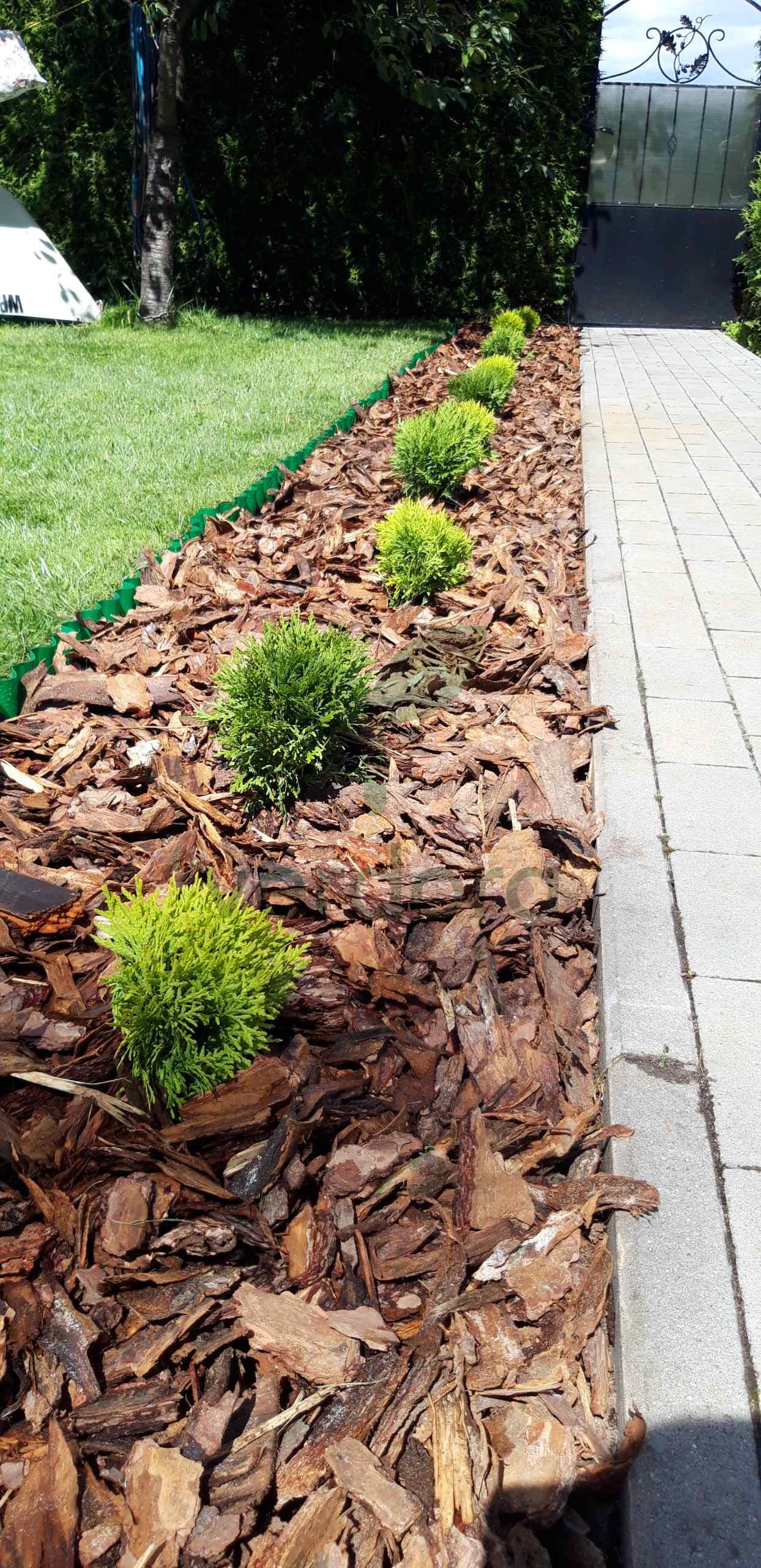 Złotów - Nasadzenia, wysypywanie kory, aranżacja ogrodu